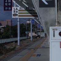 老鷹捉小雞