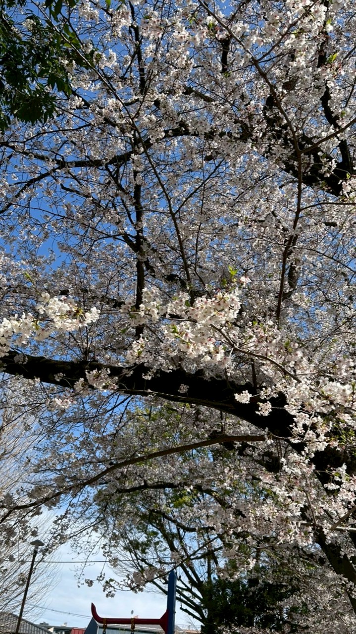 今日好きになりました @ロブロックス