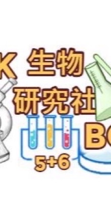 安康生研新生群//
