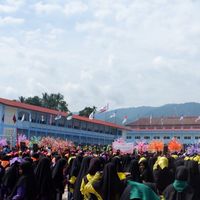 sukan warna picture