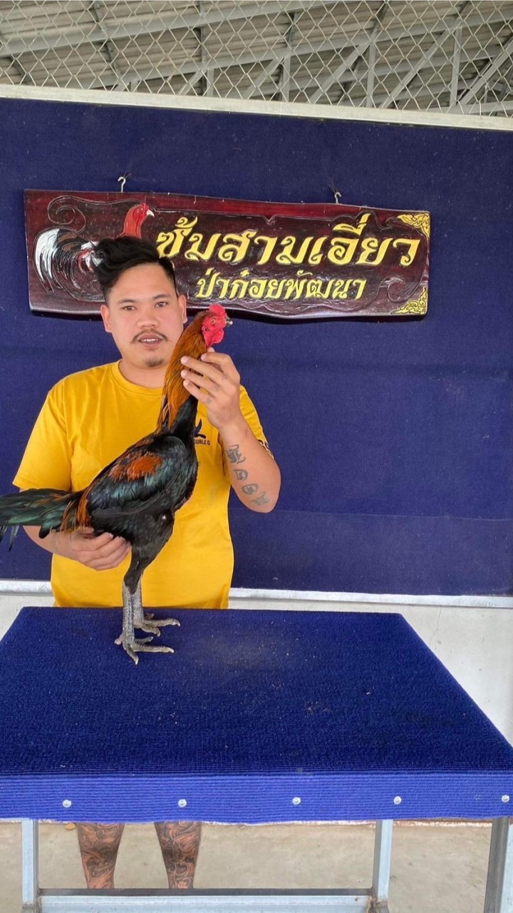 ซุ้ม ว บารมี นำโชค ป่าก๋อยพัฒนาสายเลือดสามเอี่ยว100