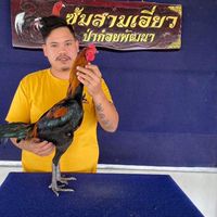 ซุ้ม ว บารมี นำโชค ป่าก๋อยพัฒนาสายเลือดสามเอี่ยว100
