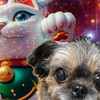 ワン🐶ニャン🐈ラブ🩷癒しのカフェ
