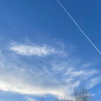 Love guide 什麼都能說的愛情疑難雜症