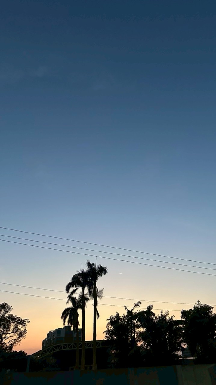 慈暉九村論壇