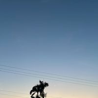 慈暉九村論壇