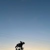 慈暉九村論壇