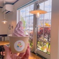 いちごミルク - 実際訪問したユーザーが直接撮影して投稿した真駒内本町アイスクリームカラフルクリームの写真のメニュー情報