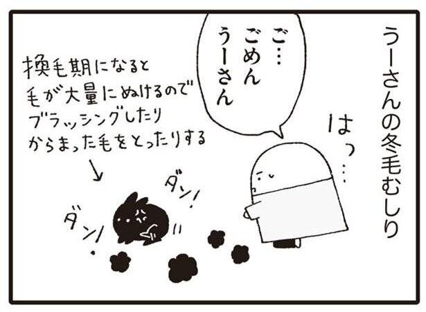 初夏に訪れるうさぎの換毛期 みんな夢中になる作業って いぬねこ動物病院日記 レタスクラブ