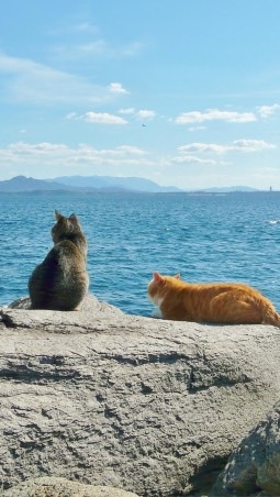 猫なりきりチャットのオープンチャット