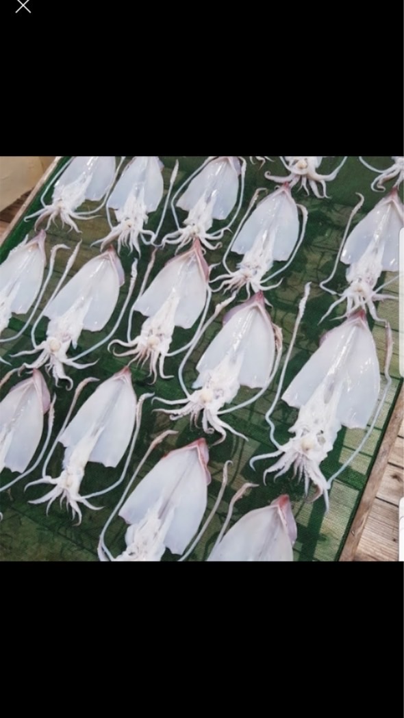 澎湖虎井第一手海鮮