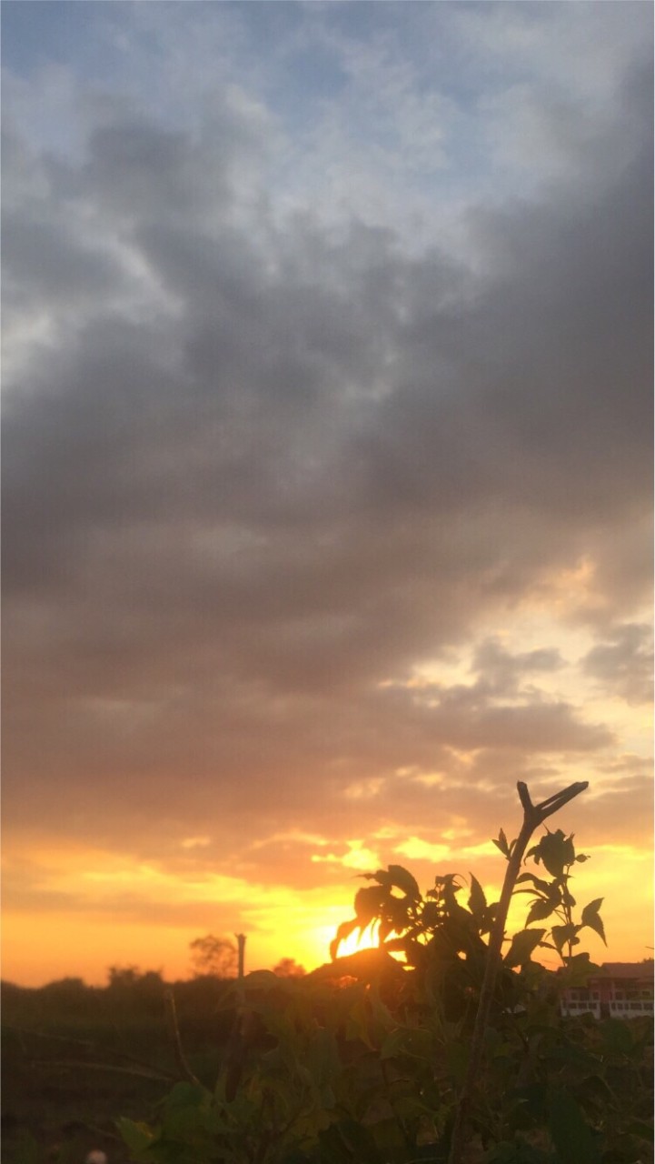 เอาไว้ส่งรูป