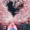 20才以上！雑談♪憩いの場♪