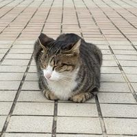 惠登訂貨群組