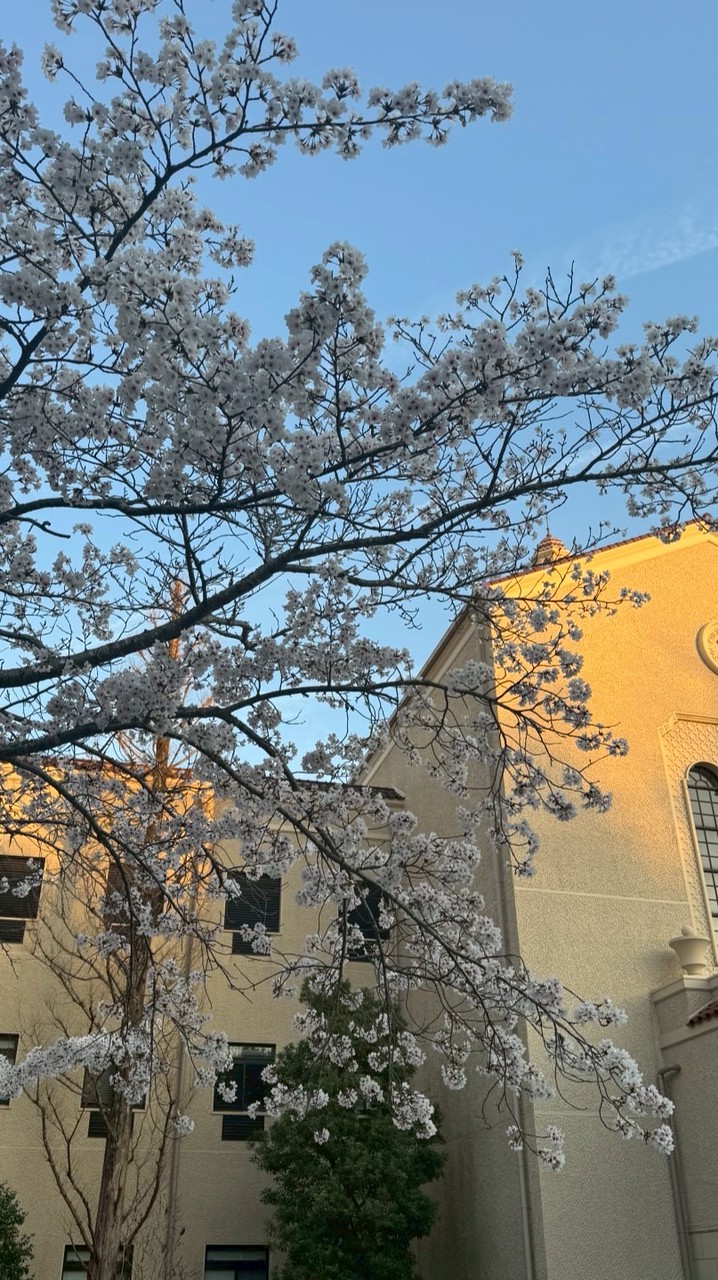 関西学院大学総合政策学部2026経営情報論