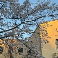 関西学院大学総合政策学部2026経営情報論