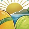 阿新果園~夏雪芒果~水蜜芭樂~