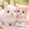 🤗ྀིサンリオのキャラクターが大好きで仕方ない男女はおいでー！お部屋で一緒に楽しいひと時を過ごそー🤗ᩚ