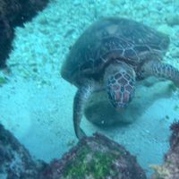 海潞運動工作室-運動家教