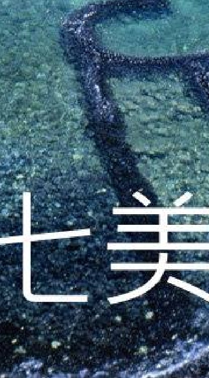 我是七美人
