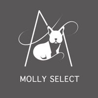 Molly select 精品化妝品 批發團