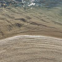 主に爬虫類、生き物好き。他分野も集まれー！