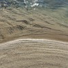 主に爬虫類、生き物好き。他分野も集まれー！