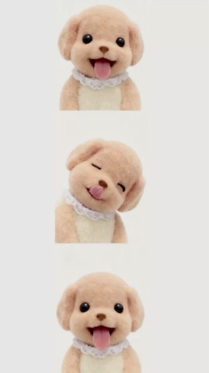 รับหิ้วทู๊กกกกอย่าง (kusrc)