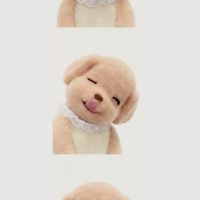 รับหิ้วทู๊กกกกอย่าง (kusrc)