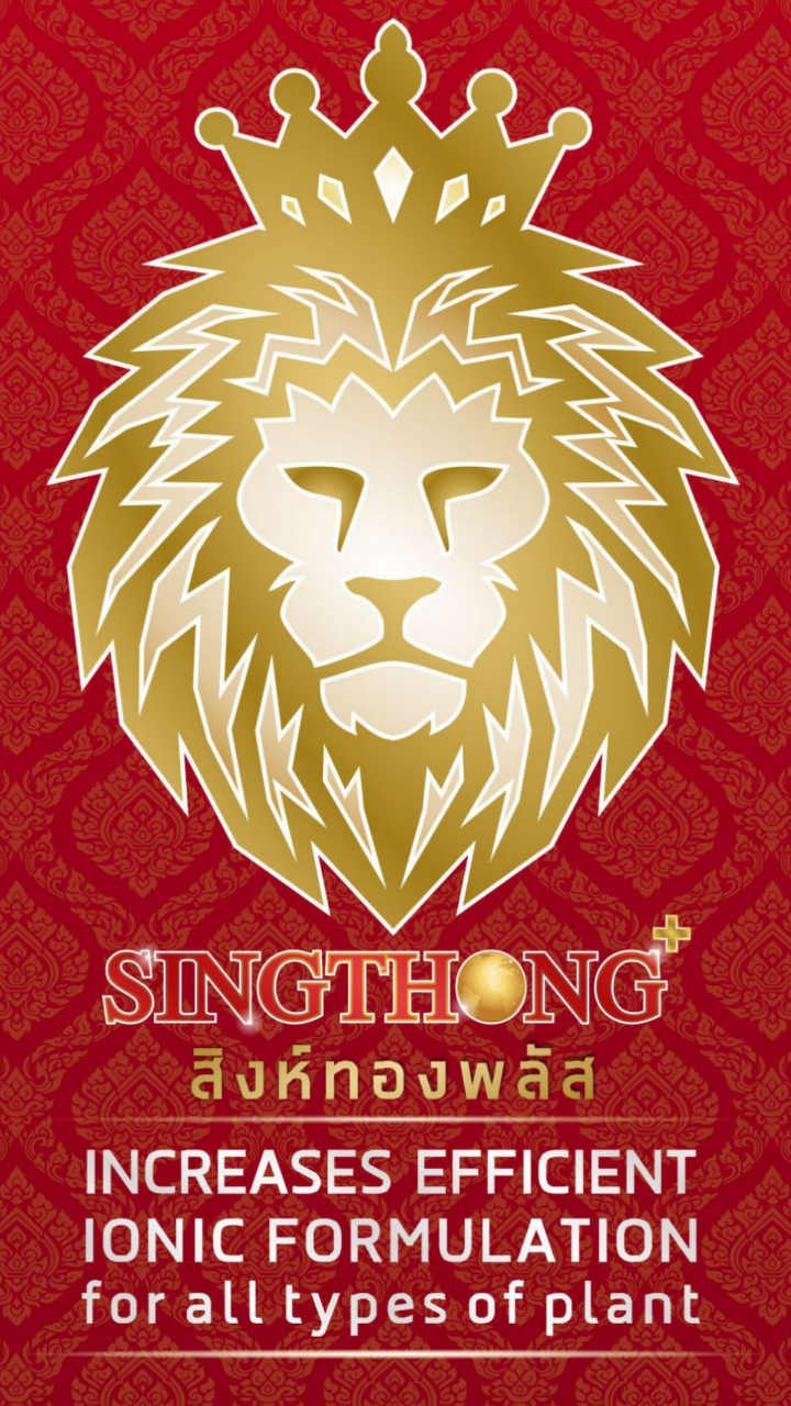 ราชสีห์กับหนูทองคำ