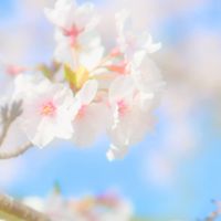 福岡 東方面の方のたまり場！