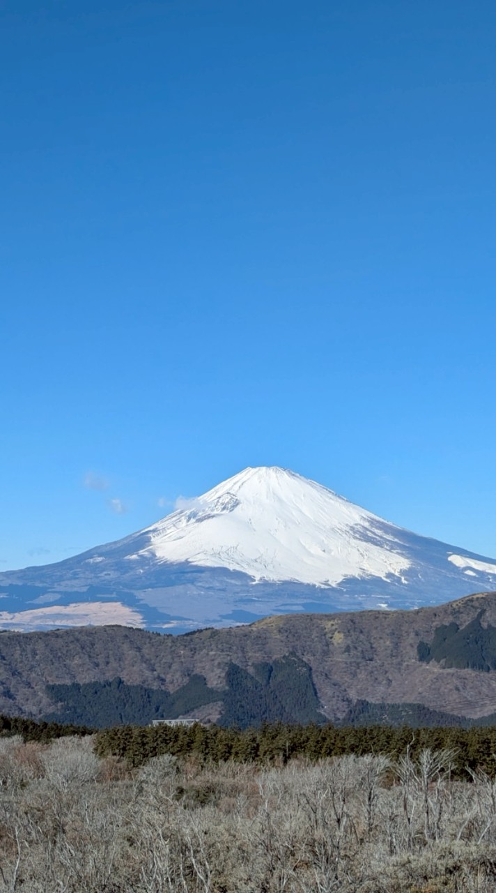 下町ドリーム112🐼支部