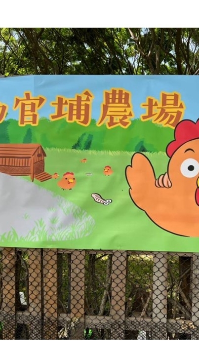 啖蛋市集