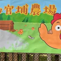 啖蛋市集