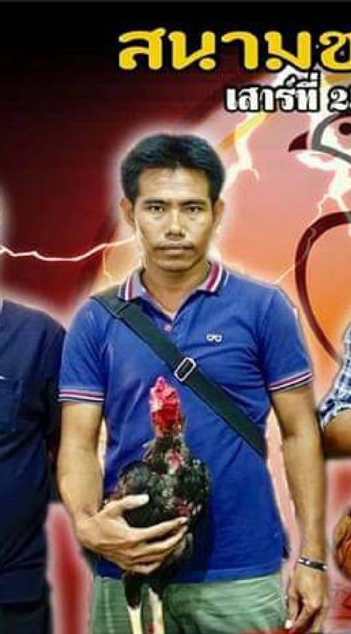 สนามชนไก่ โคกกระทิง