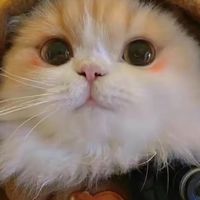 為愛，讓照顧變簡單