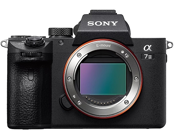 SONY A7III ILCE-7M3 單機身 ILCE7M3 A7M3 (公司貨)