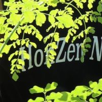 日本一のモリンガ農家目指してます‼️（本然農園）