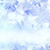MV同好会 本部 LINE版