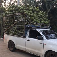 รถรับจ้างคอก/ตู้ทึบ