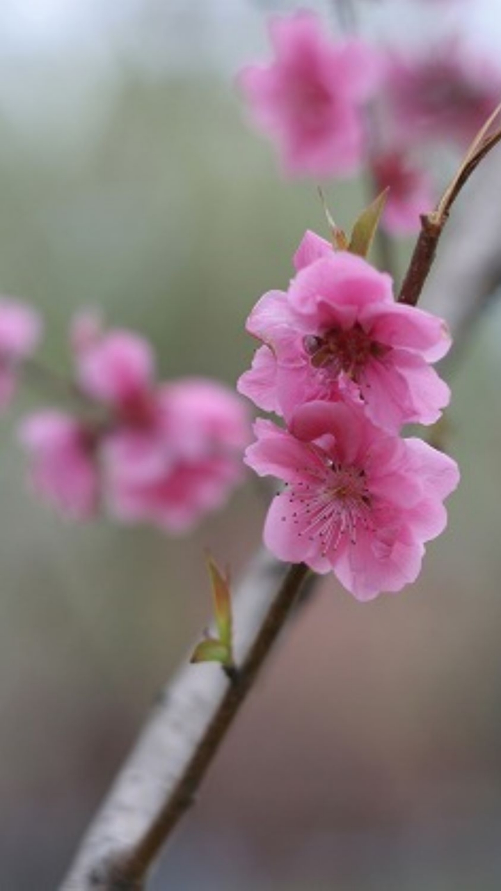 2月を振り返ってのオープンチャット