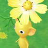 Pikmin chat