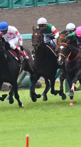OpenChat 競馬サロンC&WIN