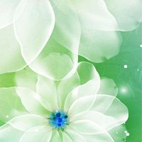 2026年雙園國小五年一班