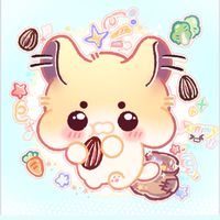 呆呆鼠 波利鼠舍🐹