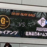 写真撮影（ユニコラなど）