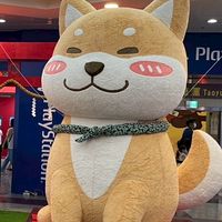 元老八卦房