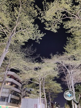 IMG20200315190807.jpg IMG20200315190807.jpg