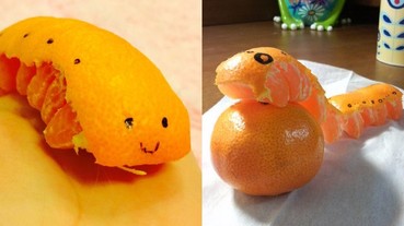 日本網友的新遊戲「橘子毛毛蟲」 到底是可愛還是噁心呢？