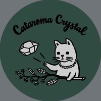 🐾貓晶蒔光聊癒賞晶團